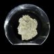 Coin Art - Liberty - Morgan Dollar Lucite Sculpture