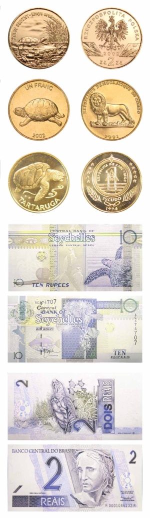 Turtle Coin & Currency Set - Brilliant and Crisp Uncirculated