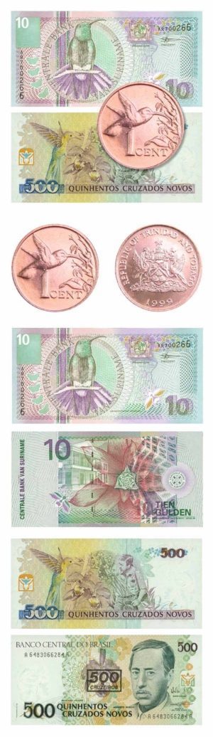 Hummingbird Coin & Currency Set - (2) Banknotes & (1) Coin - Uncirculated