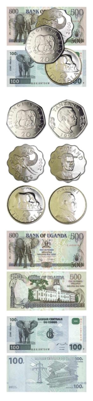 Elephant Coin & Currency Set - (2) Banknotes & (3) Coins - Catalog Value $90+!!!