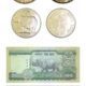Rhino Coin & Currency Set - (2) Banknotes & (2) Coins - Uncirculated