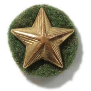 Camp Greenbrier Academic Star Recognition Lapel Pin