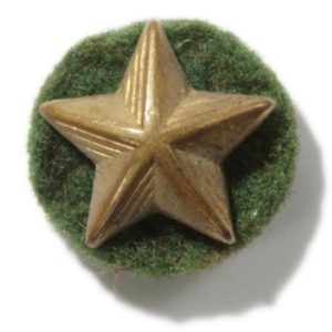 Camp Greenbrier Academic Star Recognition Lapel Pin