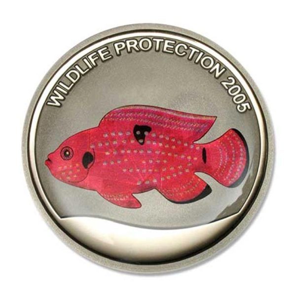 Congo (DRC) - Prism Jewel Cichlid Fish - 2005 - 5 Francs - Proof