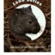 Australia - Land Series - Wombat - $1 - 2008 - Brilliant Uncirculated - Display Card