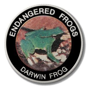 Malawi - Endangered Frogs - Darwin Frog - 10 Kwacha - 2010  - Proof Colored Coin