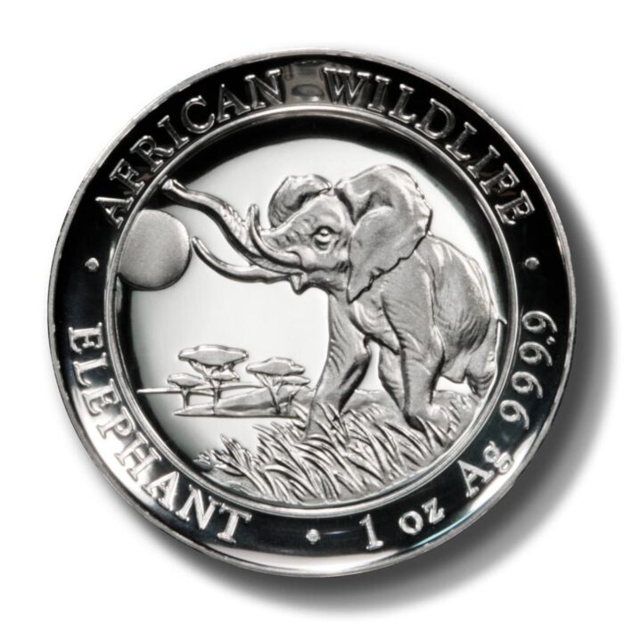2016 Somalia Trumpeting Elephant High Relief Proof Silver coin - Image 2