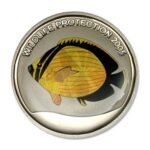 Congo DRC Prism Blacktail Butterfly Fish 2005 5 Francs Proof C/N
